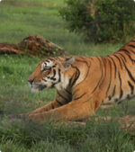 Tour Hacienda Nápoles Luxho
