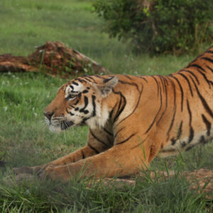 Tour Hacienda Nápoles Luxho