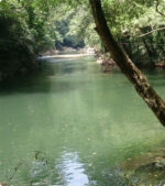 Tour Rio claro Jardín Luxho