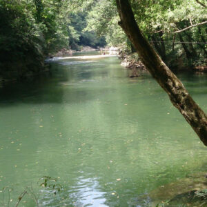 Tour Rio claro Jardín Luxho