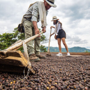 Tour del café Luxho