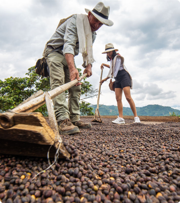 Luxho Coffee Tour Tour del café Luxho